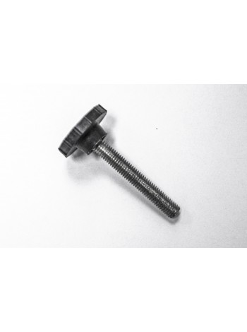 Болт-закрутка с пластиковой ручкой D39 М10-L80 глянец (P2black)
